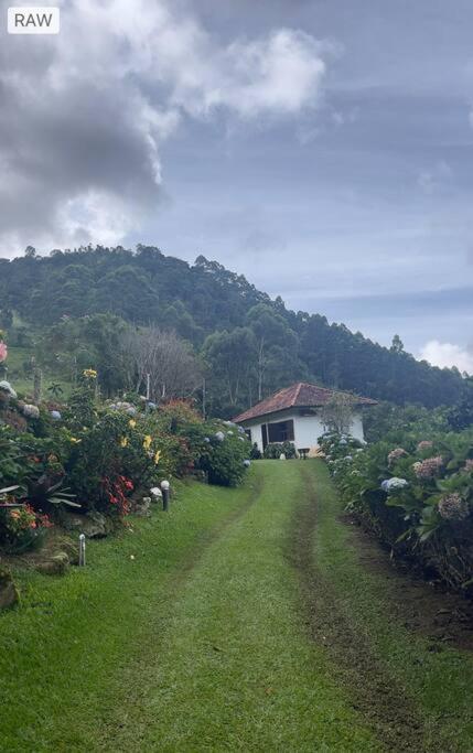 Sitio Com Piscina Natural E Cascata, Com Linda Vista Em Lumiar. ภายนอก รูปภาพ
